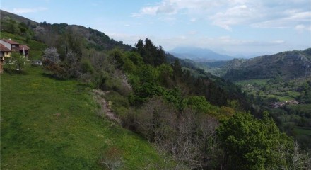 Residential - Terraced House - Piloña, Asturias, Asturias - SP