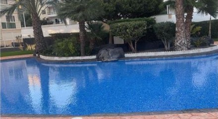 Residential - Condo/Apartment - Benidorm, Alicante, Valencia - SP
