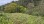 Residential - Land - carreño, Asturias, Asturias - SP