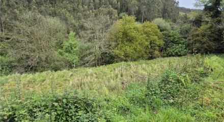 Residential - Land - carreño, Asturias, Asturias - SP