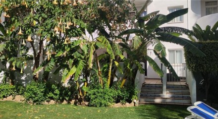 Residential - Condo/Apartment - Marbella, Málaga, Andalucía - SP