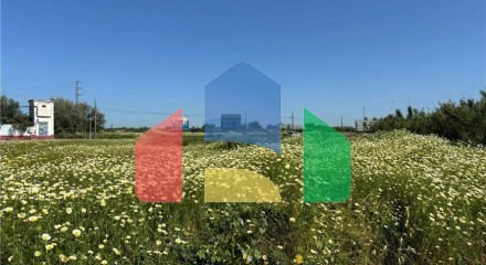Residential - Land - Bollullos de La Mitación, Sevilla, Andalucía - SP