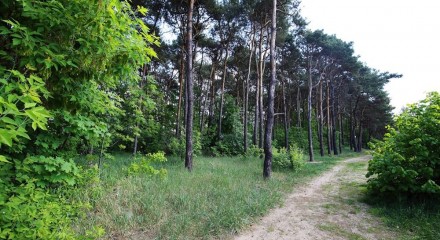 Residential - Luxury Condo - Wieruszów, Poland - PL