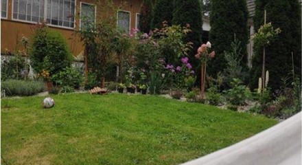 Residential - House - Grabie, Poland - PL