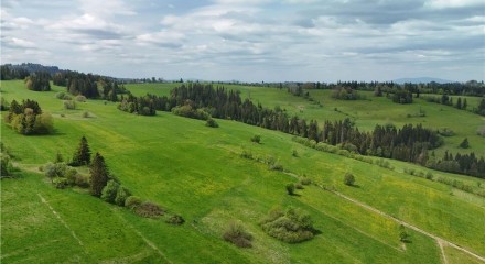 Residential - Plot of Land for Hospitality Development - Ratulow, Poland - PL