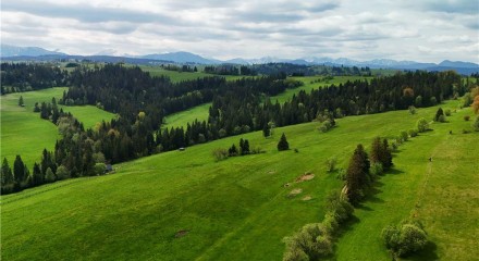 Residential - Plot of Land for Hospitality Development - Ratulow, Poland - PL