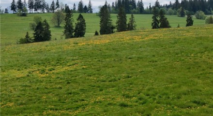 Residential - Plot of Land for Hospitality Development - Ratulow, Poland - PL