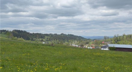 Residential - Plot of Land for Hospitality Development - Ratulow, Poland - PL