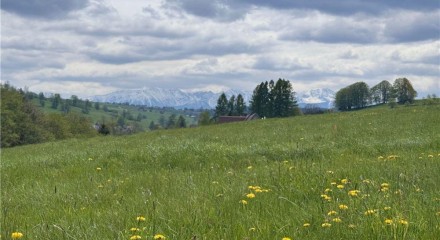Residential - Plot of Land for Hospitality Development - Ratulow, Poland - PL