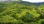 Residential - Plot of Land for Hospitality Development - Przyborów, Poland - PL