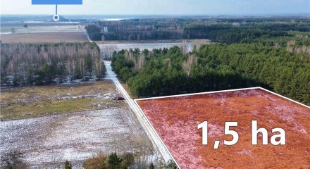Residential - Plot of Land for Hospitality Development - Marków-Świnice, Poland - PL
