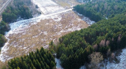Residential - Plot of Land for Hospitality Development - Marków-Świnice, Poland - PL