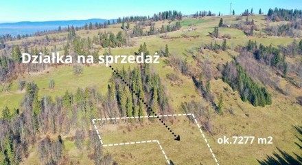 Residential - Land - Bialy Dunajec, Poland - PL