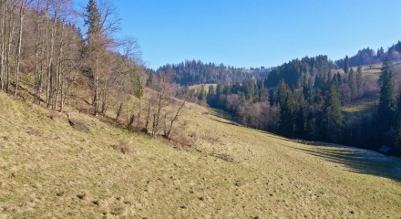 Residential - Land - Bialy Dunajec, Poland - PL