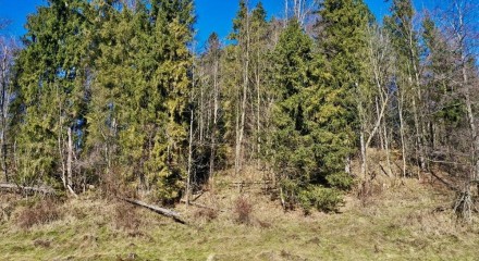 Residential - Land - Bialy Dunajec, Poland - PL