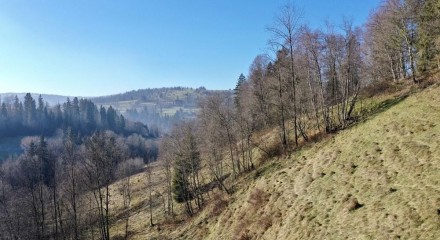Residential - Land - Bialy Dunajec, Poland - PL