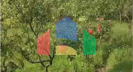 Commercial - Plot of Land for Agriculture - Ibë, Tiranë - AL