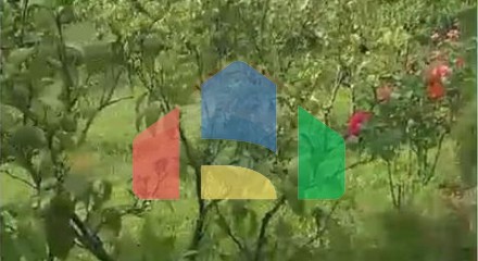 Commercial - Plot of Land for Agriculture - Ibë, Tiranë - AL