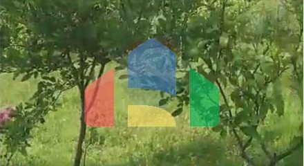 Commercial - Plot of Land for Agriculture - Ibë, Tiranë - AL