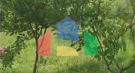 Commercial - Plot of Land for Agriculture - Ibë, Tiranë - AL