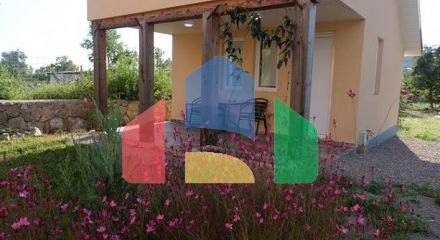 Продаются дома в Загоре на большом участке с бассейном Продаются дома в Загоре на большом участке с бассейном