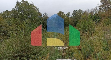 Plot in Blizikuce