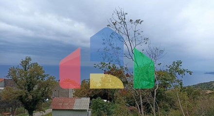 Plot in Blizikuce
