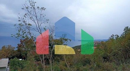 Plot in Blizikuce