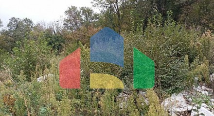Plot in Blizikuce