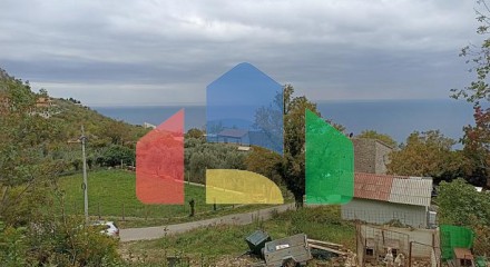 Plot in Blizikuce