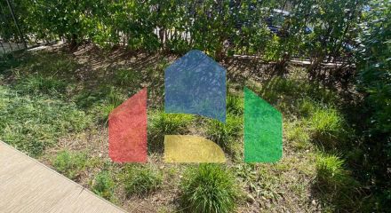 Апарт-отель в Игало, недалеко от института Симо Милошевича. Апарт-отель в Игало, недалеко от института Симо Милошевича.