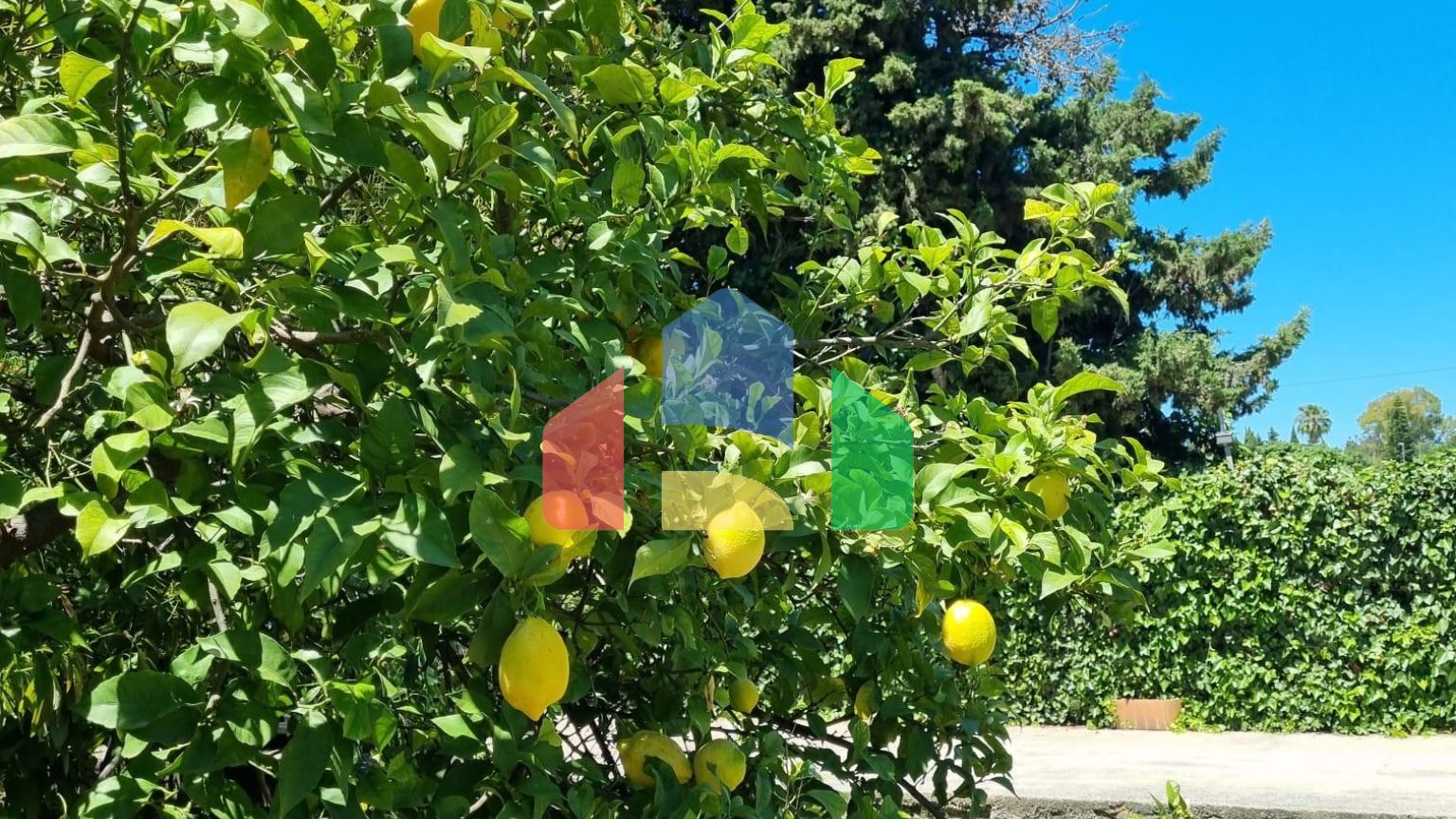 Дом с садом, бассейном и инвестиционным потенциалом рядом с городом