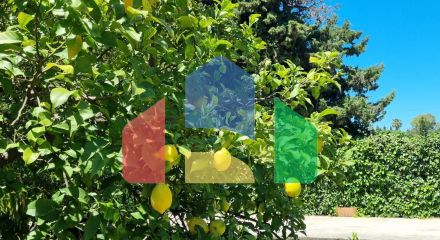 Дом с садом, бассейном и инвестиционным потенциалом рядом с городом