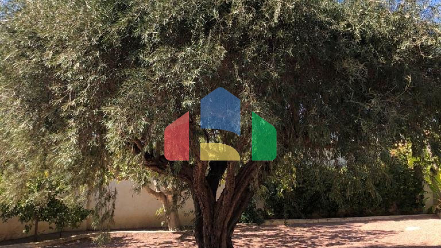 Эффектная вилла в районе Сьюдад-Кесада-Рохалес с собственным бассейном и панорамным видом.