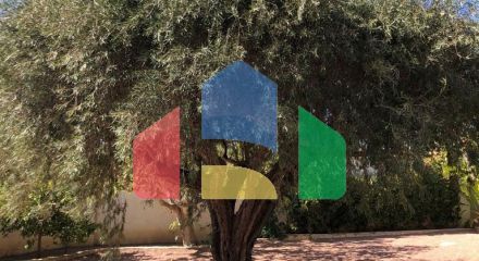 Эффектная вилла в районе Сьюдад-Кесада-Рохалес с собственным бассейном и панорамным видом.