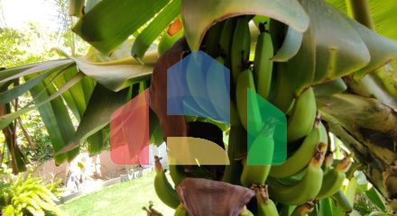 КРАСИВЫЙ ТАУНХАУС С 3 СПАЛЬНЯМИ В САМОМ ЦЕНТРЕ СЬЕРРА-КОРТИНА-ФИНЕСТРАТ