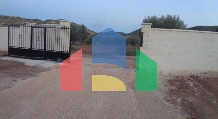 НОВЫЕ ВИЛЛЫ В ПИНОСО