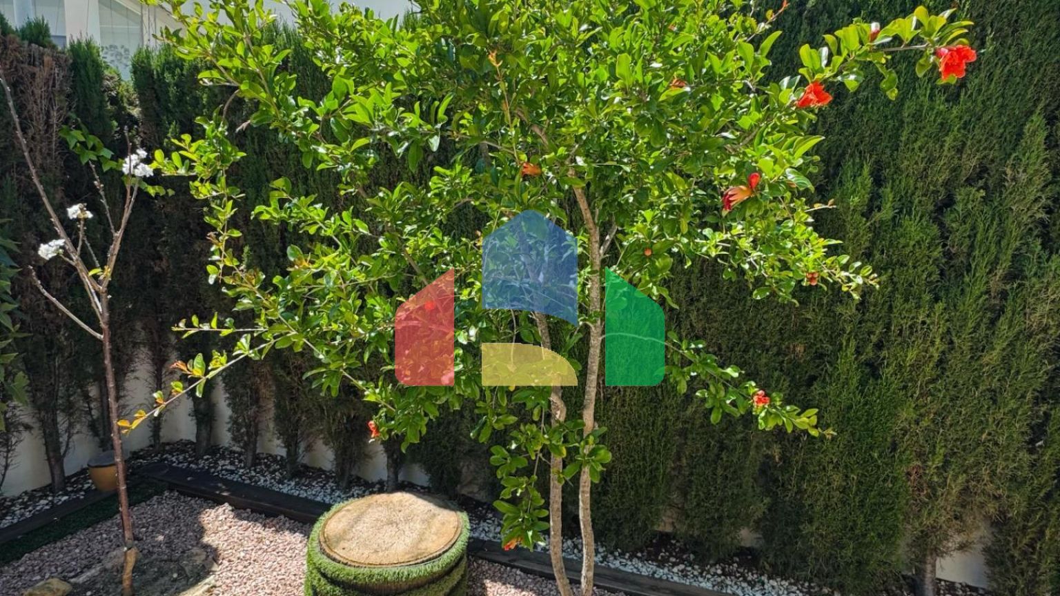 Дом в Benijofar ID A10462