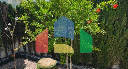 Дом в Benijofar ID A10462