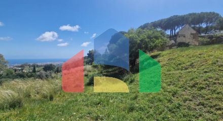 Exceptional Investment Opportunity: Expansive Residential Plot in Mijas