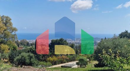 Exceptional Investment Opportunity: Expansive Residential Plot in Mijas