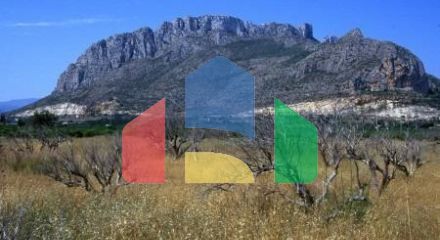 НОВЫЙ ЖИЛОЙ КОМПЛЕКС В ЭЛЬ ВЕРГЕЛЬ