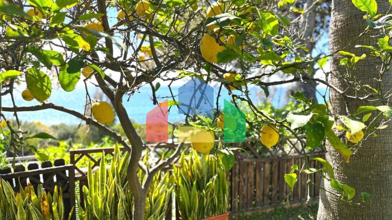 Semi Detached Villa в Sotogrande ID SD0858