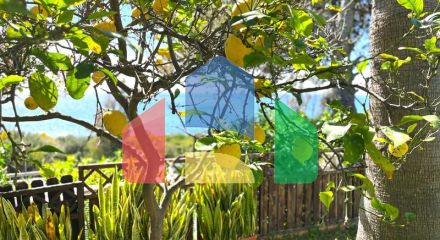 Semi Detached Villa в Sotogrande ID SD0858