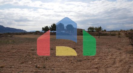 Дом в Abanilla ID F0215