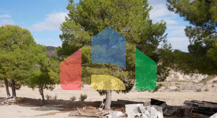 Дом в Abanilla ID F0215