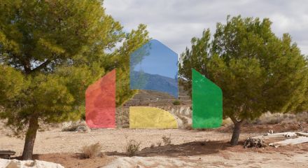 Дом в Abanilla ID F0215