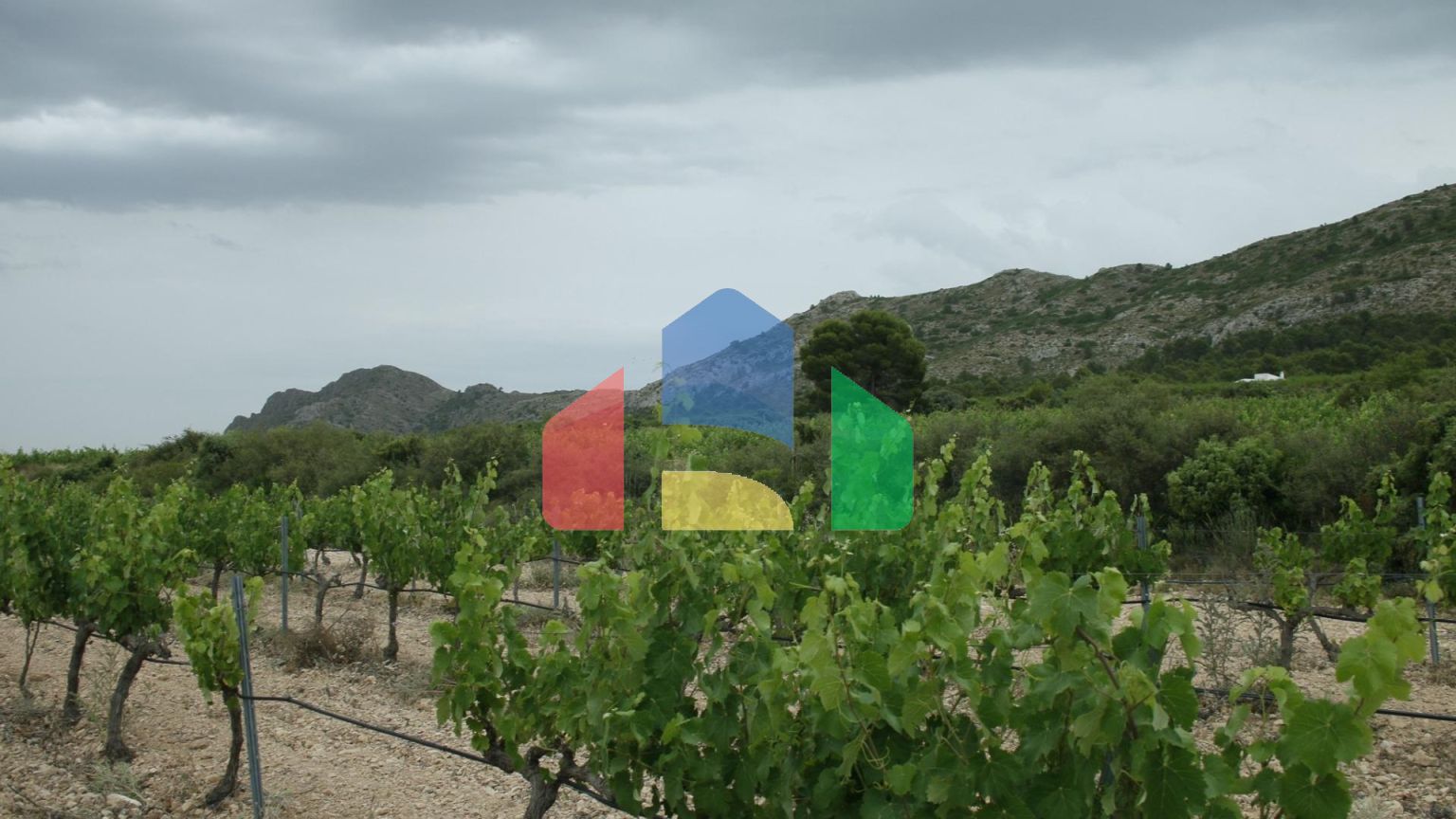 НОВАЯ ВИЛЛА В ЙЕКЛЕ, МУРСИЯ