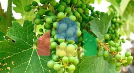 НОВАЯ ВИЛЛА В ЙЕКЛЕ, МУРСИЯ