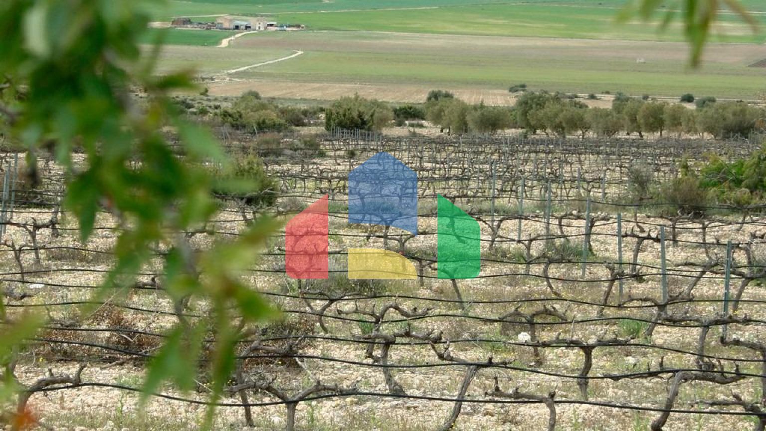 НОВАЯ ВИЛЛА В ЙЕКЛЕ, МУРСИЯ